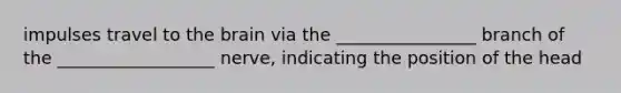 impulses travel to the brain via the ________________ branch of the __________________ nerve, indicating the position of the head