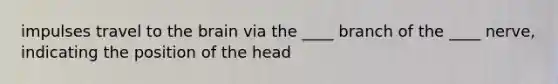 impulses travel to <a href='https://www.questionai.com/knowledge/kLMtJeqKp6-the-brain' class='anchor-knowledge'>the brain</a> via the ____ branch of the ____ nerve, indicating the position of the head