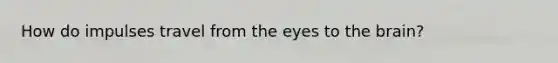 How do impulses travel from the eyes to the brain?