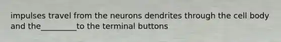 impulses travel from the neurons dendrites through the cell body and the_________to the terminal buttons