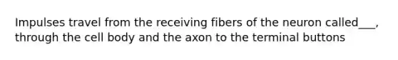 Impulses travel from the receiving fibers of the neuron called___, through the cell body and the axon to the terminal buttons