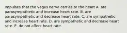 Impulses that the vagus nerve carries to the heart A. are parasympathetic and increase heart rate. B. are parasympathetic and decrease heart rate. C. are sympathetic and increase heart rate. D. are sympathetic and decrease heart rate. E. do not affect heart rate.