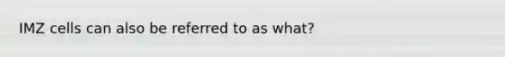 IMZ cells can also be referred to as what?