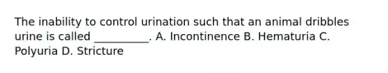 The inability to control urination such that an animal dribbles urine is called __________. A. Incontinence B. Hematuria C. Polyuria D. Stricture