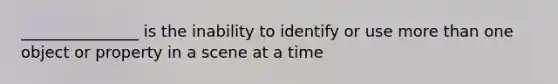 _______________ is the inability to identify or use more than one object or property in a scene at a time