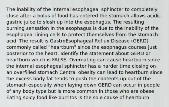 The inability of the internal esophageal sphincter to completely close after a bolus of food has entered the stomach allows acidic gastric juice to slosh up into the esophagus. The resulting burning sensation in the esophagus is due to the inability of the esophageal lining cells to protect themselves from the stomach acid. The result is GastroEsophageal Reflux Disease (GERD) commonly called "heartburn" since the esophagus courses just posterior to the heart. Identify the statement about GERD or heartburn which is FALSE. Overeating can cause heartburn since the internal esophageal sphincter has a harder time closing on an overfilled stomach Central obesity can lead to heartburn since the excess body fat tends to push the contents up out of the stomach especially when laying down GERD can occur in people of any body type but is more common in those who are obese Eating spicy food like burritos is the sole cause of heartburn