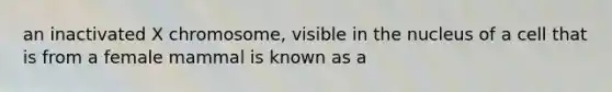 an inactivated X chromosome, visible in the nucleus of a cell that is from a female mammal is known as a