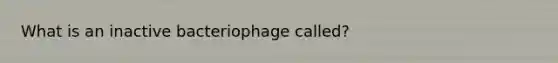 What is an inactive bacteriophage called?