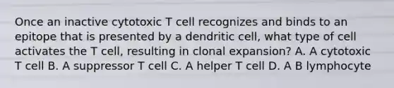 Once an inactive cytotoxic T cell recognizes and binds to an epitope that is presented by a dendritic cell, what type of cell activates the T cell, resulting in clonal expansion? A. A cytotoxic T cell B. A suppressor T cell C. A helper T cell D. A B lymphocyte