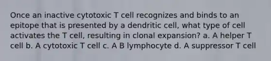 Once an inactive cytotoxic T cell recognizes and binds to an epitope that is presented by a dendritic cell, what type of cell activates the T cell, resulting in clonal expansion? a. A helper T cell b. A cytotoxic T cell c. A B lymphocyte d. A suppressor T cell