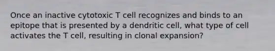 Once an inactive cytotoxic T cell recognizes and binds to an epitope that is presented by a dendritic cell, what type of cell activates the T cell, resulting in clonal expansion?