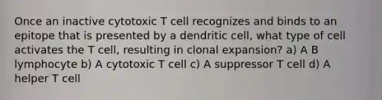 Once an inactive cytotoxic T cell recognizes and binds to an epitope that is presented by a dendritic cell, what type of cell activates the T cell, resulting in clonal expansion? a) A B lymphocyte b) A cytotoxic T cell c) A suppressor T cell d) A helper T cell