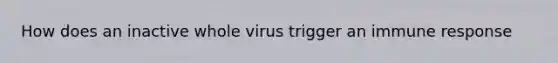 How does an inactive whole virus trigger an immune response