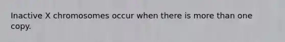 Inactive X chromosomes occur when there is more than one copy.