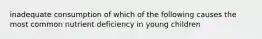 inadequate consumption of which of the following causes the most common nutrient deficiency in young children