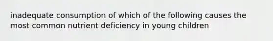 inadequate consumption of which of the following causes the most common nutrient deficiency in young children