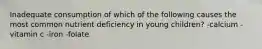 Inadequate consumption of which of the following causes the most common nutrient deficiency in young children? -calcium -vitamin c -iron -folate