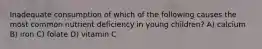 Inadequate consumption of which of the following causes the most common nutrient deficiency in young children? A) calcium B) iron C) folate D) vitamin C