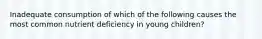 Inadequate consumption of which of the following causes the most common nutrient deficiency in young children?