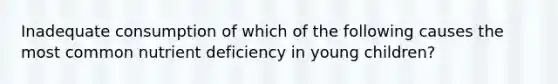 Inadequate consumption of which of the following causes the most common nutrient deficiency in young children?