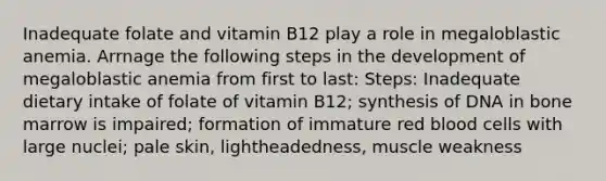 Inadequate folate and vitamin B12 play a role in megaloblastic anemia. Arrnage the following steps in the development of megaloblastic anemia from first to last: Steps: Inadequate dietary intake of folate of vitamin B12; synthesis of DNA in bone marrow is impaired; formation of immature red blood cells with large nuclei; pale skin, lightheadedness, muscle weakness