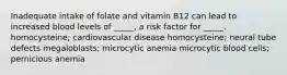 Inadequate intake of folate and vitamin B12 can lead to increased blood levels of _____, a risk factor for _____. homocysteine; cardiovascular disease homocysteine; neural tube defects megaloblasts; microcytic anemia microcytic blood cells; pernicious anemia