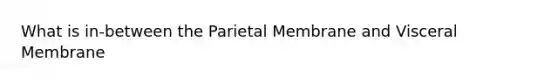 What is in-between the Parietal Membrane and Visceral Membrane