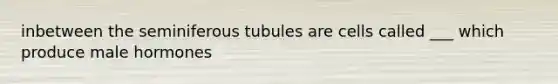 inbetween the seminiferous tubules are cells called ___ which produce male hormones