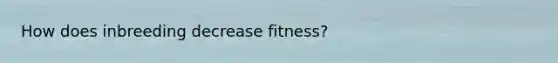 How does inbreeding decrease fitness?