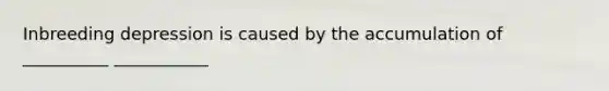 Inbreeding depression is caused by the accumulation of __________ ___________