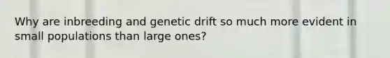 Why are inbreeding and genetic drift so much more evident in small populations than large ones?