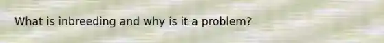 What is inbreeding and why is it a problem?