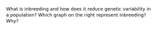 What is inbreeding and how does it reduce genetic variability in a population? Which graph on the right represent inbreeding? Why?