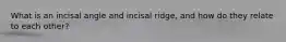 What is an incisal angle and incisal ridge, and how do they relate to each other?