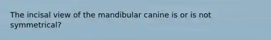 The incisal view of the mandibular canine is or is not symmetrical?