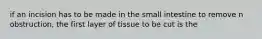 if an incision has to be made in the small intestine to remove n obstruction, the first layer of tissue to be cut is the