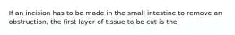 If an incision has to be made in the small intestine to remove an obstruction, the first layer of tissue to be cut is the