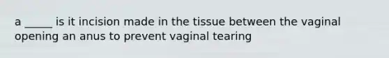 a _____ is it incision made in the tissue between the vaginal opening an anus to prevent vaginal tearing