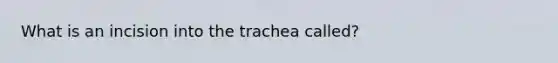 What is an incision into the trachea called?