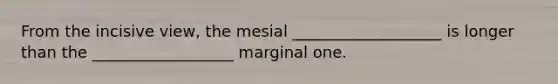 From the incisive view, the mesial ___________________ is longer than the __________________ marginal one.