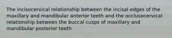 The incisocervical relationship between the incisal edges of the maxillary and mandibular anterior teeth and the occlusocervical relationship between the buccal cusps of maxillary and mandibular posterior teeth