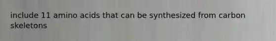 include 11 <a href='https://www.questionai.com/knowledge/k9gb720LCl-amino-acids' class='anchor-knowledge'>amino acids</a> that can be synthesized from carbon skeletons