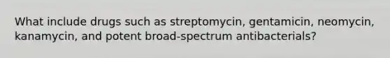 What include drugs such as streptomycin, gentamicin, neomycin, kanamycin, and potent broad-spectrum antibacterials?