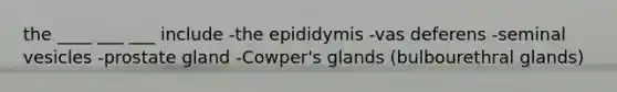 the ____ ___ ___ include -the epididymis -vas deferens -seminal vesicles -prostate gland -Cowper's glands (bulbourethral glands)