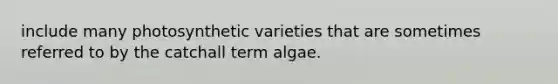 include many photosynthetic varieties that are sometimes referred to by the catchall term algae.