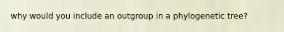 why would you include an outgroup in a phylogenetic tree?