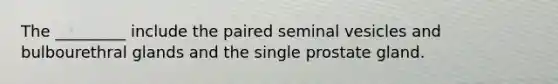 The _________ include the paired seminal vesicles and bulbourethral glands and the single prostate gland.