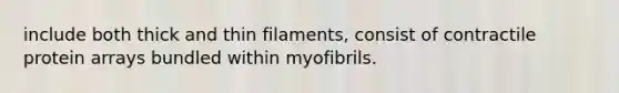 include both thick and thin filaments, consist of contractile protein arrays bundled within myofibrils.