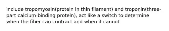 include tropomyosin(protein in thin filament) and troponin(three-part calcium-binding protein), act like a switch to determine when the fiber can contract and when it cannot