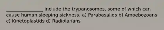 ________________ include the trypanosomes, some of which can cause human sleeping sickness. a) Parabasalids b) Amoebozoans c) Kinetoplastids d) Radiolarians